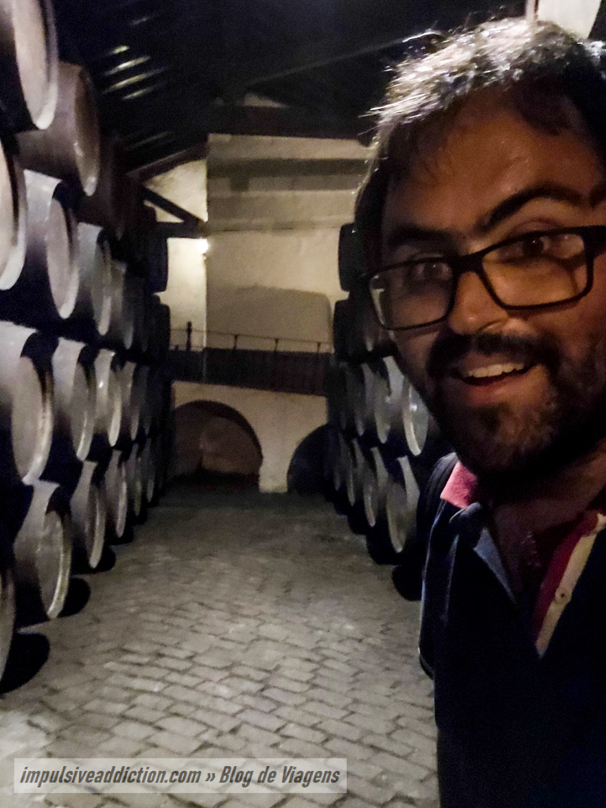 Me, visiting Port Wine Cellars in Porto