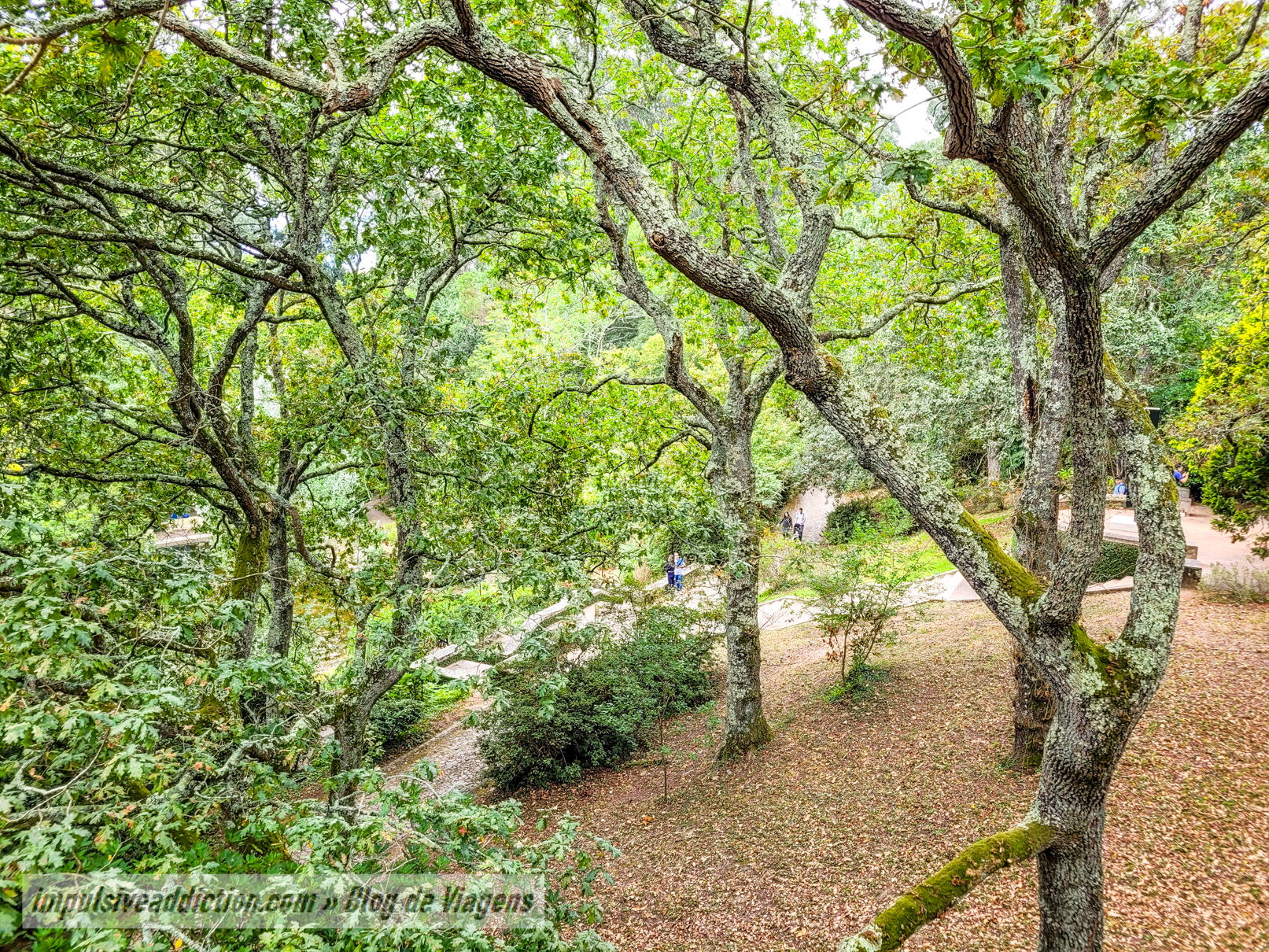 TreeTop Walk at Serralves Park