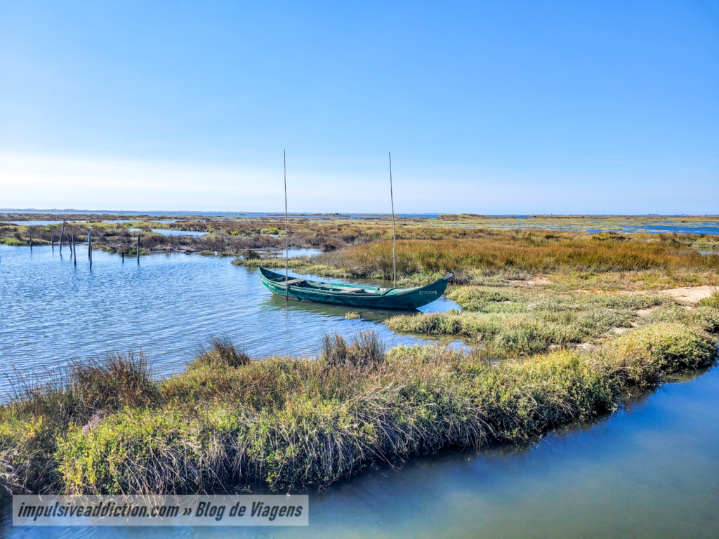 Passadiços Da Ria De Aveiro Em Esgueira